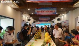 遂溪新闻爆料最新消息视频,视频揭露惊人真相！