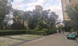 环球公馆爆料事件视频大全,揭秘事件背后真相