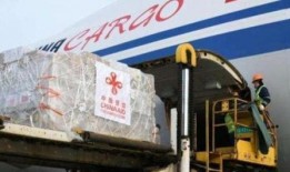 美国爆料呼吸机视频播放