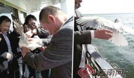 大理游客爆料最新消息新闻,最新旅游体验与奇遇记