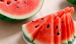 西瓜食堂爆料视频大全最新,揭秘校园美食背后的故事